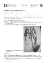 Image result for Mohria lepigera