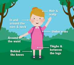 Etches said once a threshold of 20 per cent of ticks are infected. What To Do When A Tick Bites Your Child Health Essentials From Cleveland Clinic