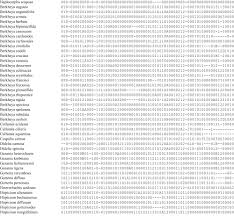 Image result for Hirpicium gorterioides