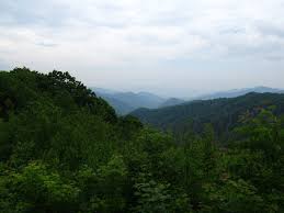 Grandfather mountain is an iconic peak 75 miles north of asheville, n.c. Things To Do In North Carolina Top 10 National Parks