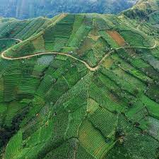 agrapura a beautiful hill in majalengka west java indonesia photo by miftah ig mifmifmif west java scenery rice terraces