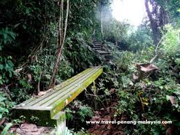 At 45m up, it affords a stunning view of the rainforest and costs just 5rm to use. Penang National Park Taman Negara Pulau Pinang Malaysia
