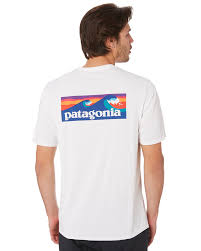 Patagonia Capilene Cool Daily Graphic Ss Surf Tee White