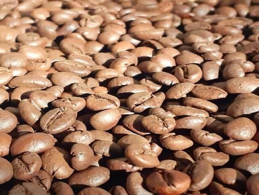 CÀ PHÊ HẠT ROBUSTA BAN MÊ THUỘT, CÀ PHÊ RANG MỘC SÀNG 18