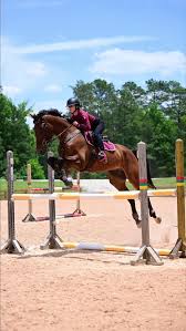 Cora Williamson Photography (@cora.w.photography)