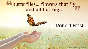 Awesomely Inspiring Butterfly Quotes For A Great Day Ahead Quotabulary