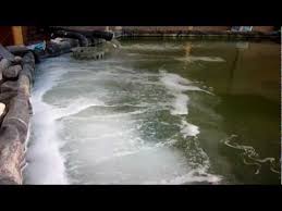 Spend half the money and get a better pump and better results using a septic air pump for your pond aeration. Pin On Gardening