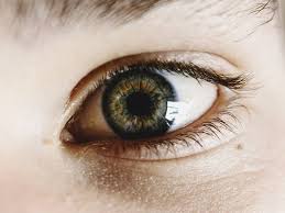 Hepatoblastoma is the most common liver cancer of childhood, although it affects only 2 to 3 people in a million. New App Can Detect Early Signs Of Eye Cancer In Kids Technology Gulf News