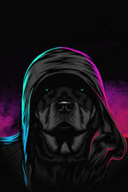 Doge 1080x1080 / 1080 x 1080 doge : Dog 1080x2280 Resolution Wallpapers One Plus 6 Huawei P20 Honor View 10 Vivo Y85 Oppo F7 Xiaomi Mi A2