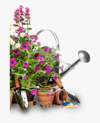 We are offering different types of goods for home , kitchen & dining, furniture & décor Evergreen Home Garden Showplace Gardening Tools And Flowers Png Transparent Png Transparent Png Image Pngitem