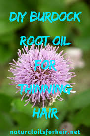 Burdock root clears the bloodstream of toxins and supports the liver, kidneys, lymphatic system, and immune system. Pin On Hair Help