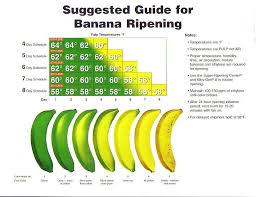 Competent Banana Ripening Color Chart 2019 In 2019 Banana