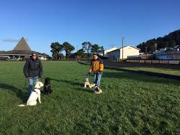 Idea Of Dog Park On Yachats Ball Field May Start Larger Conversation On What To Do With Land Yachatsnews Com