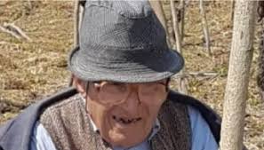 Trend Google: vitantonio lovallo