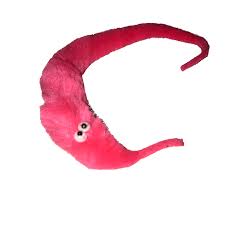Pin On Worm
