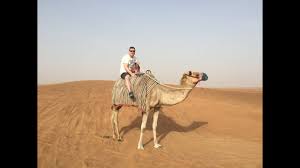 Want other options you can book now? Camel Riding In The Dubai Desert Youtube
