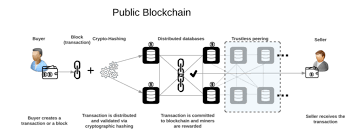 All confirmed transactions from the start of a cryptocurrency's creation are stored in a public ledger. Blockchain In A Nutshell Sap Blogs