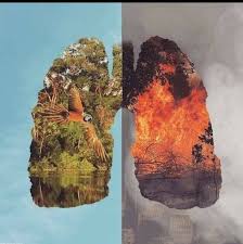 Realitatile zilelor noastre arata ca secolul xx este perioada celor mai mari protectia mediului este o problema majora a ultimului deceniu dezbatuta la nivel mondial, fapt ce a dat nastere numeroaselor dispute intre tarile dezvoltate si cele in curs de dezvoltare. Fan Protectia Mediului Ventilateur De Protection De L Environnement Home Facebook