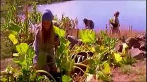 El Planeta Libre La Belle Verte Muy Bueno En Espanol Youtube