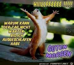 Lustige guten morgen bilder für whatsapp. Witzige Guten Morgen Grusse Gutenmorgenbilder Witzigegutenmorgengrusse Witzigegutenmorgen Lustige Guten Morgen Bilder Guten Morgen Lustig Guten Morgen Witzig