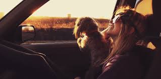 As with all forms of insurance, there are lots of options available. Liberty Mutual Auto Insurance Quotes And Reviews Getjerry Com