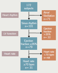 Optimised Beta Blocker Therapy In Heart Failure Is There