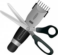 Rocco & sons is a full service barbe. Rocco Sons Barber Shop South Shores Best