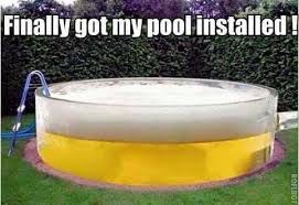 Finally Got My Pool Installed Beer Humor Beer Memes Beer Jokes