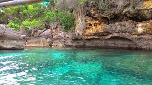 Ketika hendak mengunjungi teluk biru, ada biaya tambahan yaitu htm kawasan taman nasional alas purwo dan biaya parkir kendaraan. Teluk Biru Banyuwangi Bak Surga Tersembunyi Yang Indah