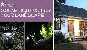 Solar Lighting Lights Up Your Landscape Pretty Purple Door