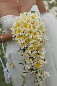 Frangipani plumeria bouquet posy real touch destination wedding. Marriage In Bali Gallery Plumeria Bouquet Cascading Wedding Bouquets Flower Bouquet Wedding