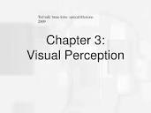 PPT - Chapter 3: Visual Perception PowerPoint Presentation, free ...