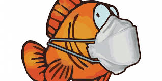 On va bien s'amuser ! La Tradition Du Poisson D Avril Sera Perpetuee Dans Les Heures Qui Viennent Sur D Ci A Vous De Jouer D Ci