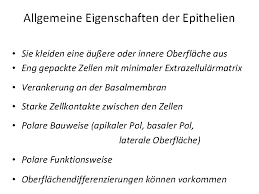 Die dichte von aktivkohle liegt im bereich von 0,2 bis 0,6 g/cm 3. Epithelgewebe Oberflchen Und Drsenepithel Dr Arnold Szab Szabo