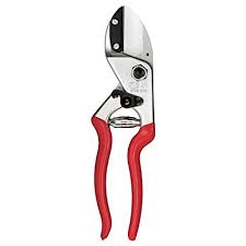 Garden tools for cutting branches. 5 Must Have Pruning Tools Tree Care Tips