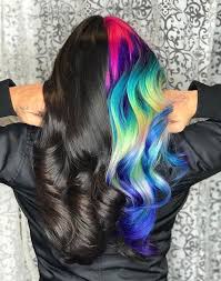 Black And Rainbow Hair Color Pin By Megan Abdella On D41 Hair Color Split Colori A Meta Half Colored Hair Bright Hair Colors Epic Hair