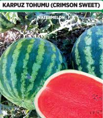 Karpuz Tohumu Http Www Tuanadogalyasam Com Karpuz Tohumu Crimson Sweet 100 Adet Pr 1201 Html Karpuz Tohum Turkey Turkiye Istanbul I Tohumlar Tohum Vine