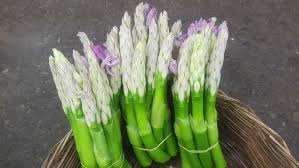 Image result for Pontederia crassipes