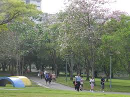 Pasir ris park is a beach park located in the eastern part of singapore. Pasir Ris Town Park Parks Nature Reserves Gardens Parks Nature National Parks Board Nparks