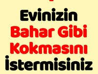 Koltuk Altinin Guzel Gorunmesi Ozellikle Yaz Aylarinda Oldukca Onemlidir Eger Koltuk Alti Cildinizde Kararma Varsa Koltuk Alti Kararmasi Nasil Gecer Sorusunun