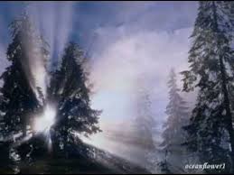 Enya Last Time By Moonlight Relaxing Music Music Bird Winter Wallpaper