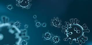Learn more about current vaccine and antibody research. Zahlen Und Fakten Helmholtz Gemeinschaft Deutscher Forschungszentren