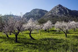 Diese regeln gelten bei urlaub auf balearen (mallorca etc.), kanaren und festland. Ab Sonntag Kein Risikogebiet Gourmetwelten Das Genussportal