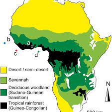 Map of african vegetation download them and print. Simplified Map Of The Distribution Of Modern Vegetation Biomes Across Download Scientific Diagram