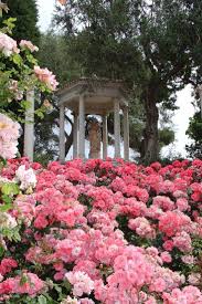 Madabout Garden Design Via Pinterest Mad About Gardens Beautiful Gardens Gorgeous Gardens Garden