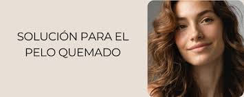 Aceite de romero para un cabello más fuerte ¿Cómo aplicarlo?