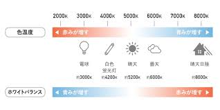 ホワイトバランス】モードで色味を変えて、自分のイメージ通りに仕上げよう！ - NICO STOP（ニコストップ）｜フォトライフスタイルWEBマガジン
