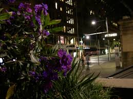 St James Square Cbd Sydney Nsw World Cbd Alley