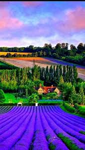 Pin By Prahlad Mevawala On Amazing Nature Beautiful Nature Beautiful Landscapes Nature Pictures