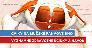 Každý cvik sa skladá z fázy sťahu a fázy uvoľnenia a obe tieto fázy by. Cviky Na Muzske Panvove Dno Ucinky Na Vasu Intimnu Kondiciu Lepsia Erekcia Sk